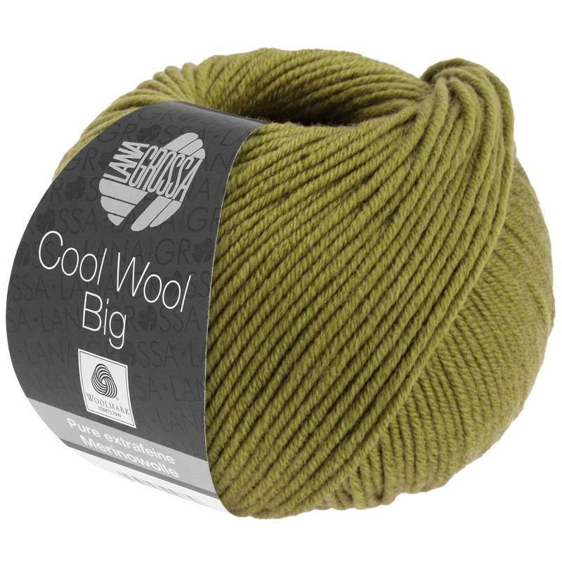 Cool Wool Big Yarn 50g 120m