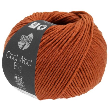 Cool Wool Big 50g 120