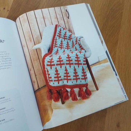 Mosaic Crochet workshop