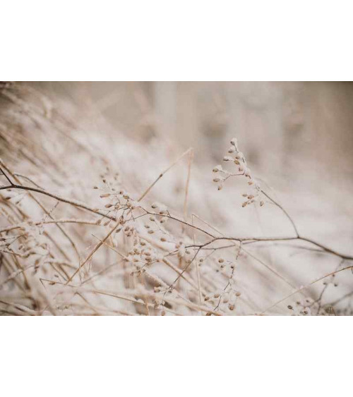 Observations: Knits and Essays from the Forest