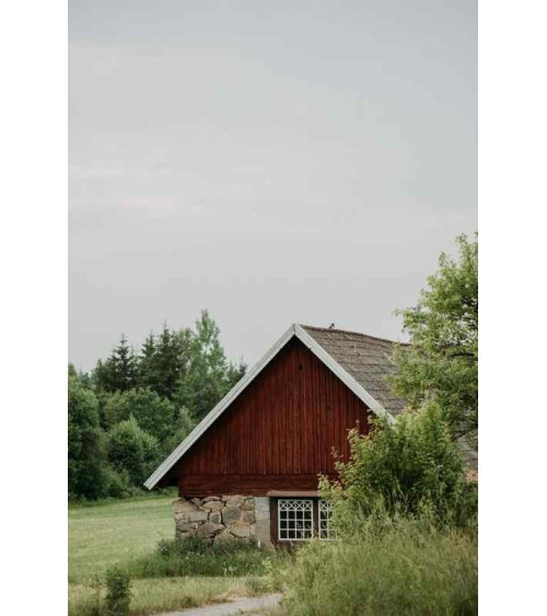 Observations: Knits and Essays from the Forest