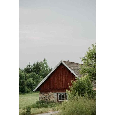 Observations: Knits and Essays from the Forest