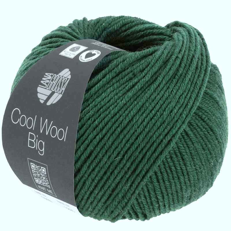 Cool Wool Big 50g 120