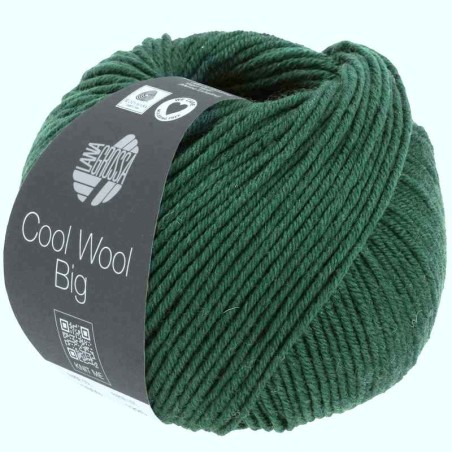 Cool Wool Big 50g 120
