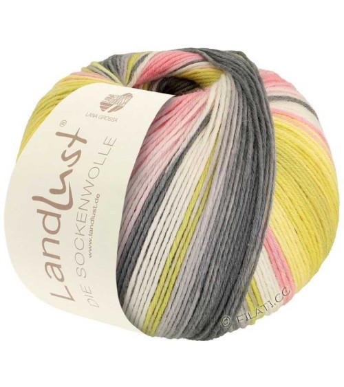 LL Sockenwolle 6-Ply Yarn 150g 390m