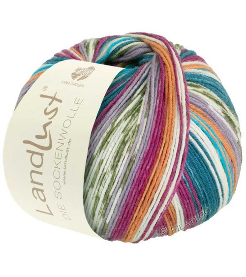 LL Sockenwolle 6-Ply Yarn 150g 390m