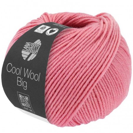 Cool Wool Big 50g 120
