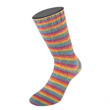 Cozy Socks Brushed Sock Yarn 100g 400m