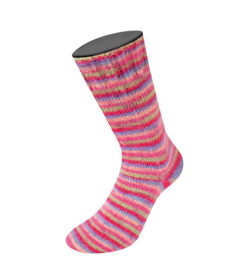Cozy Socks Brushed Sock Yarn 100g 400m