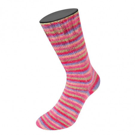 Cozy Socks Brushed Sock Yarn 100g 400m
